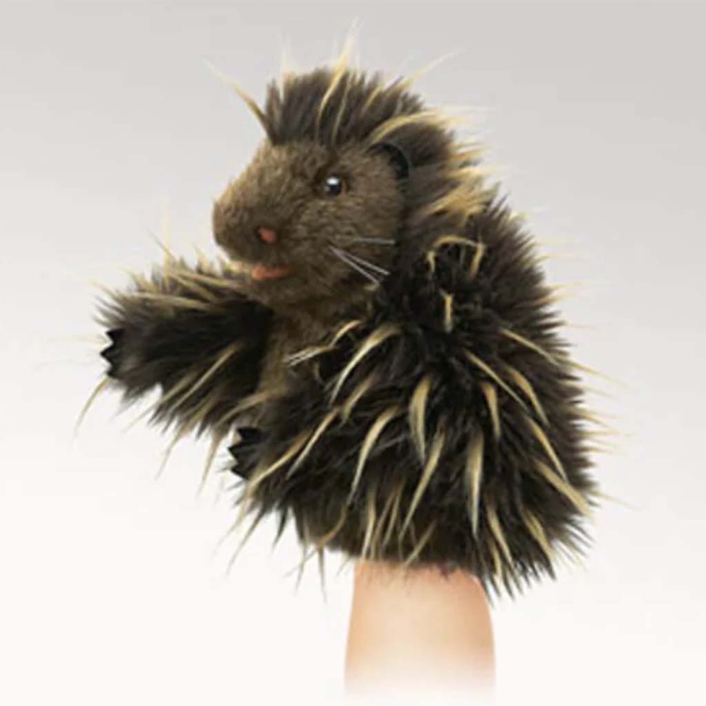 Little Porcupine 