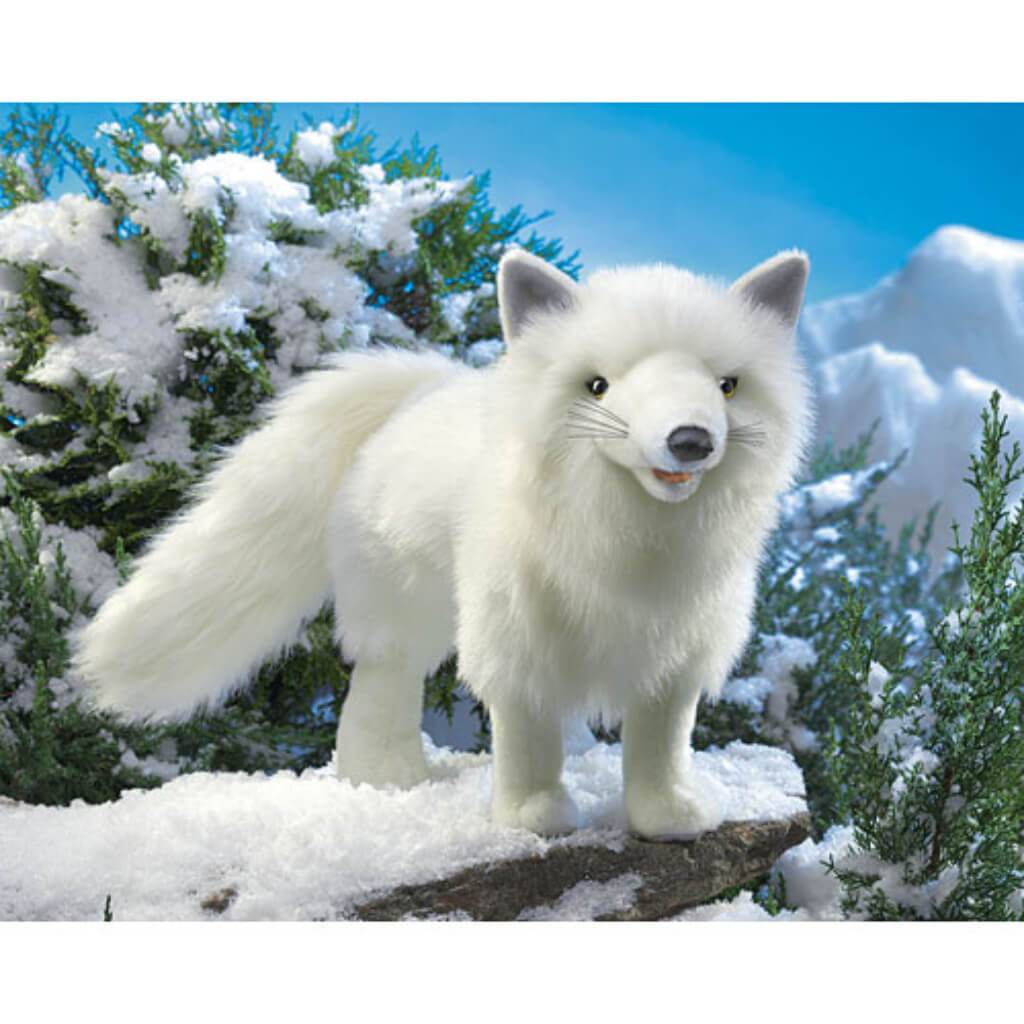 Arctic Fox 