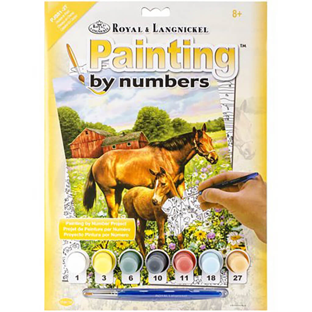 Junior Small Paint By Number Kit Horse In Field