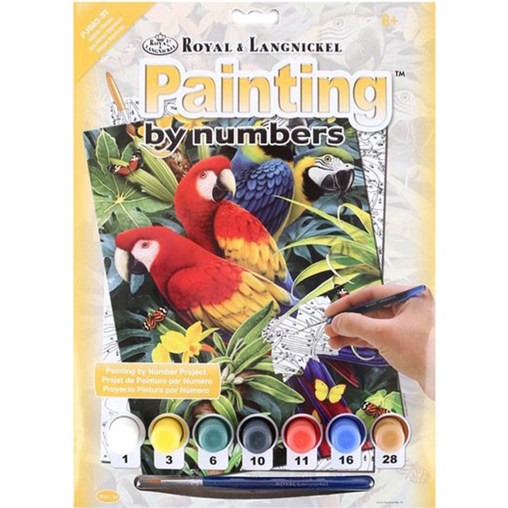 Junior Small Paint By Number Kit Majestic Macaws