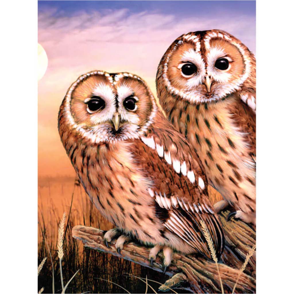 Junior Small Paint By Number Kit Tawny Owls