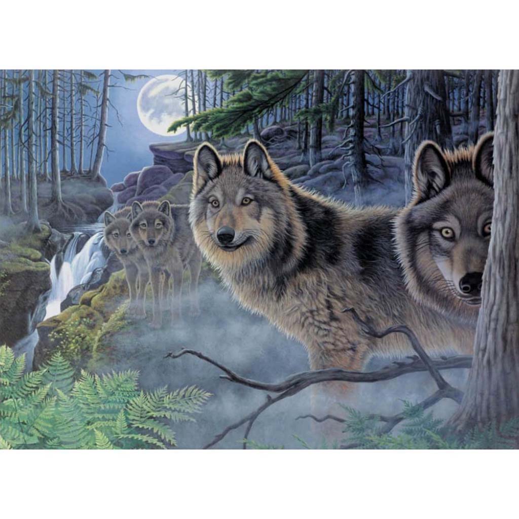Paint By Number Kit Mystical Moonlight