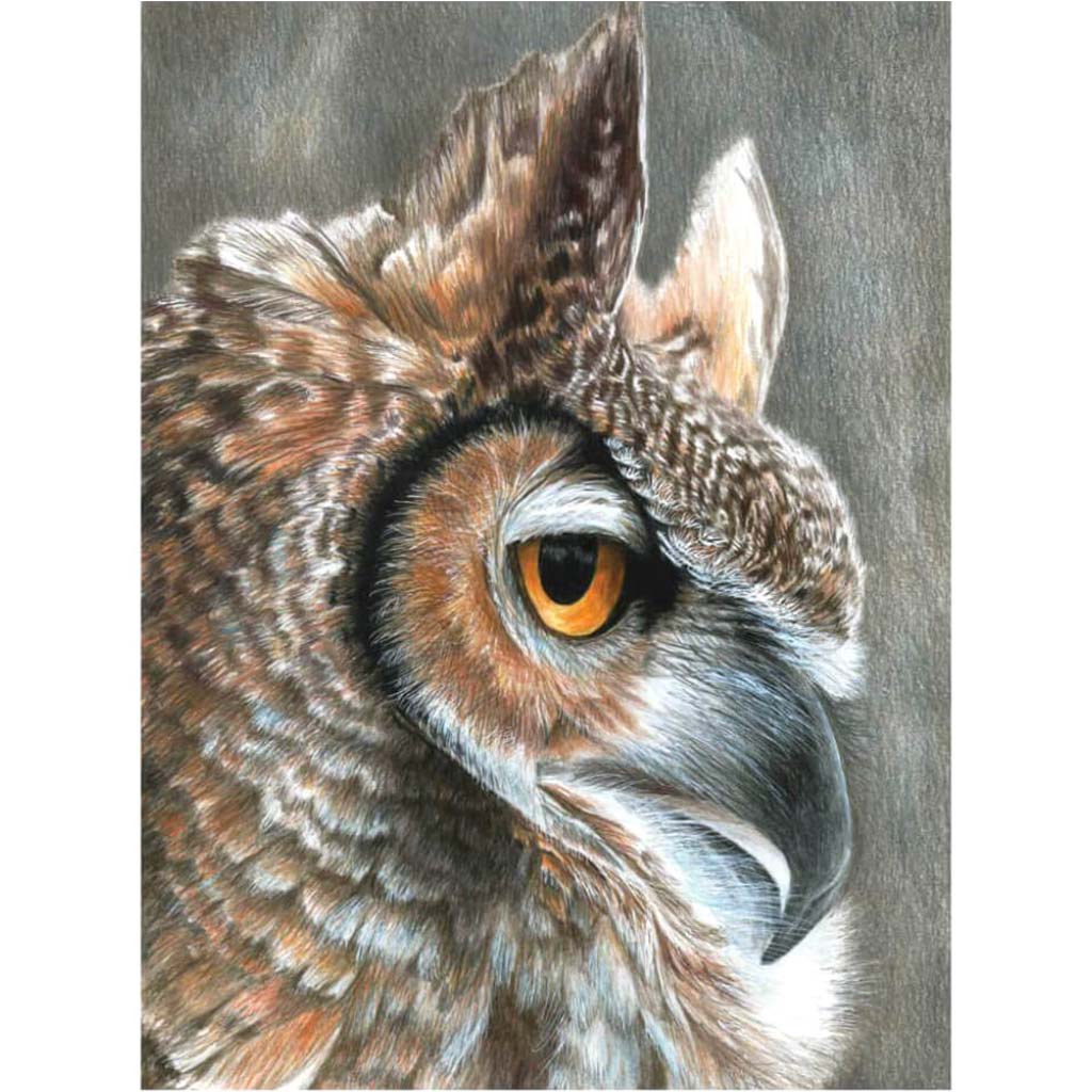 Color Pencil by Numbers Sepia Owl 