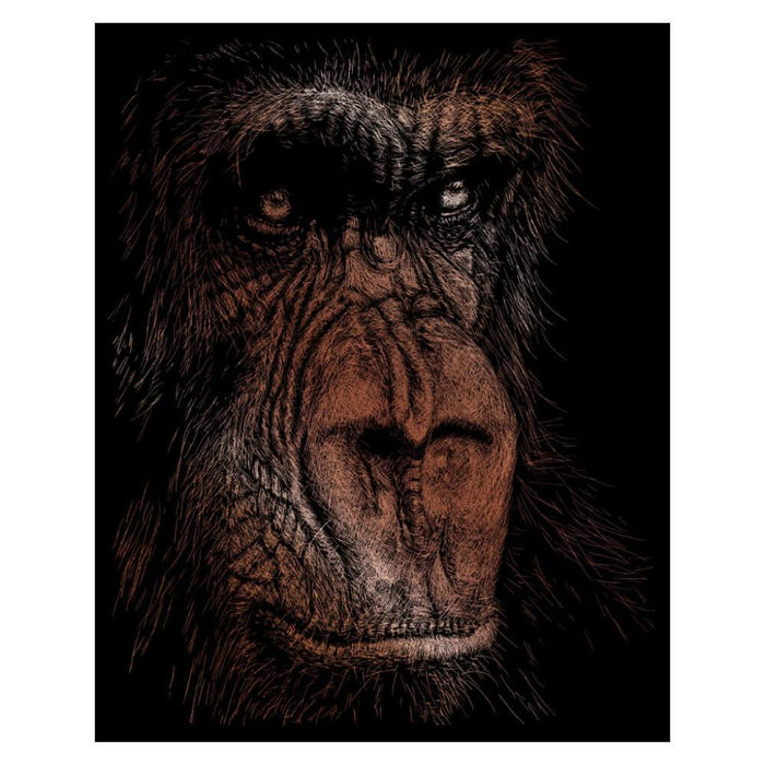 Engraving Art Copper Foil Set The Wise Simian 