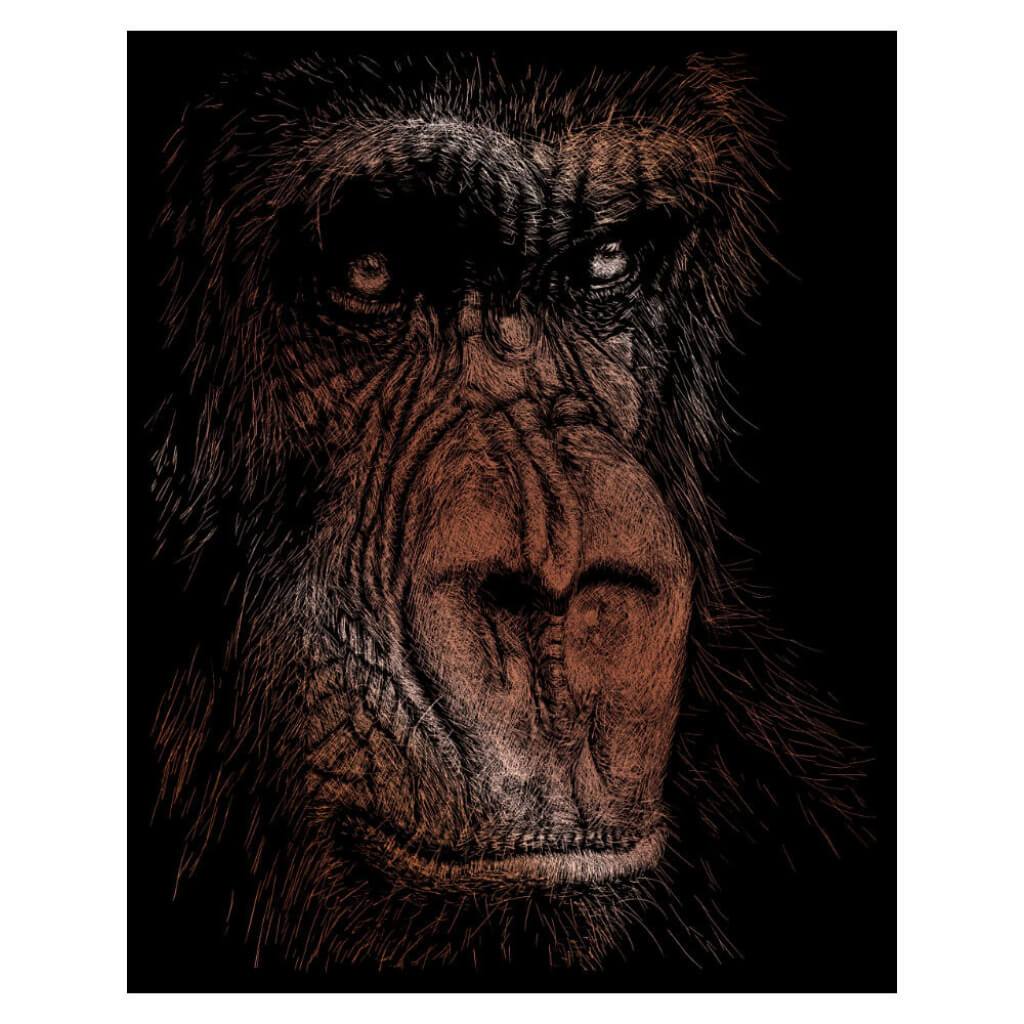Engraving Art Copper Foil Set The Wise Simian 