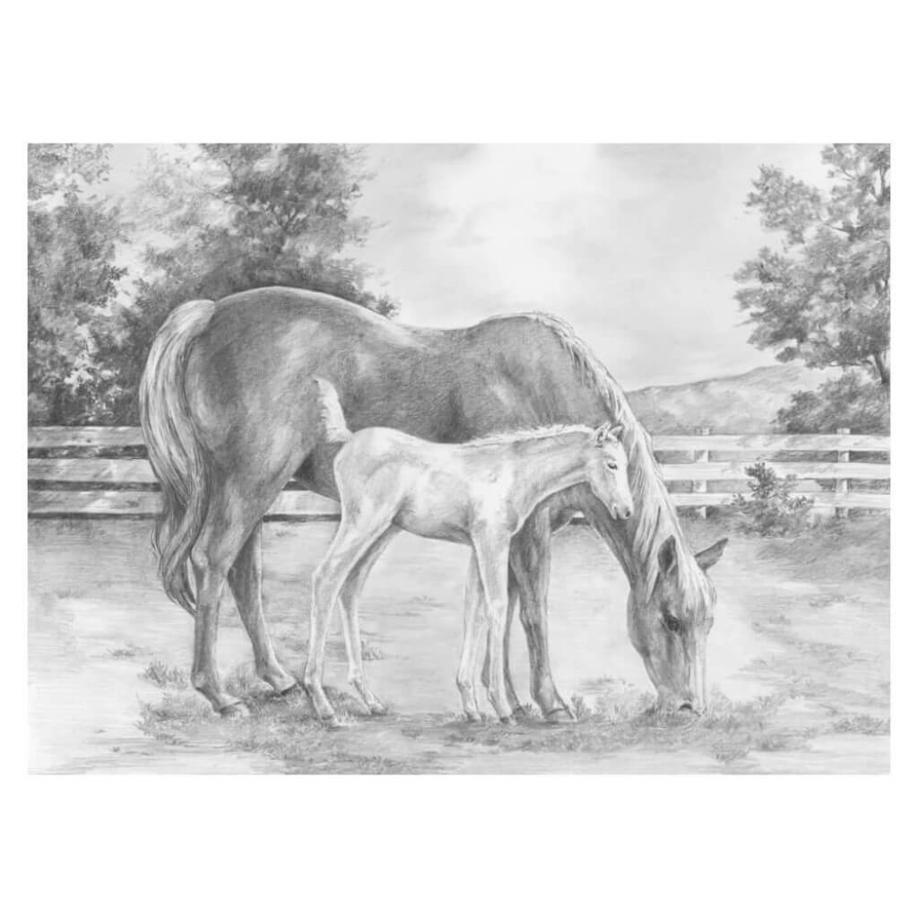 Sketching Made Easy Large Horse &amp; Calf