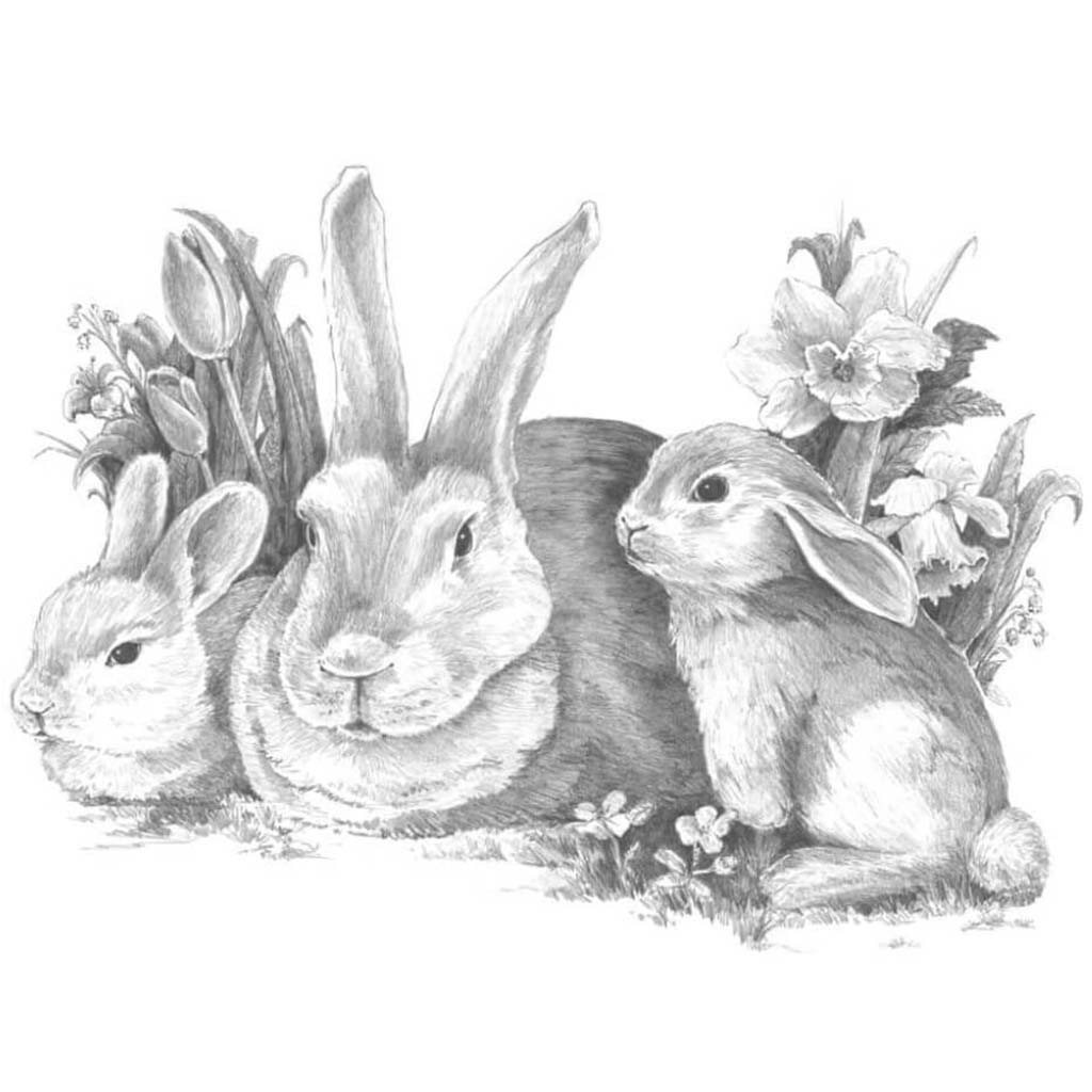 Sketching Made Easy Set Bunnies 