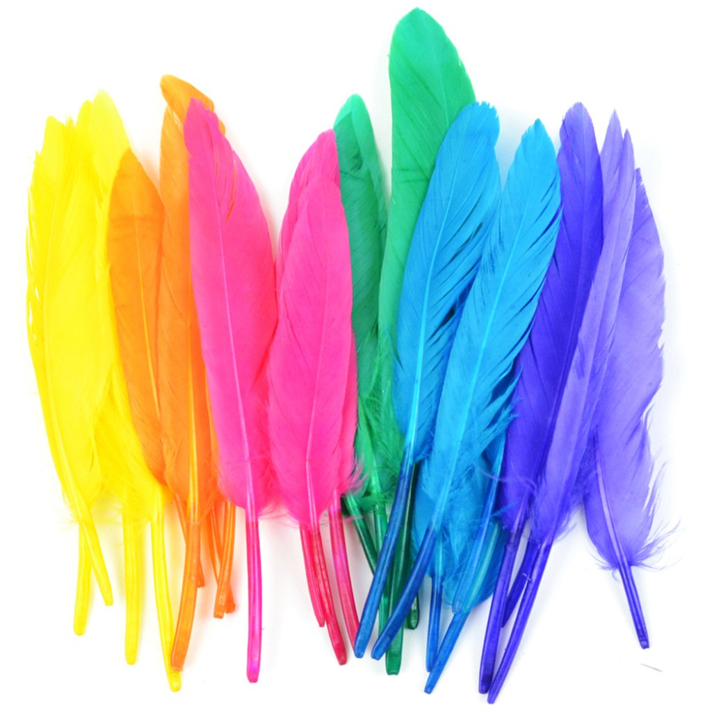 Mini Turkey Quill Feathers 3in Vibrant Mix24Pc 