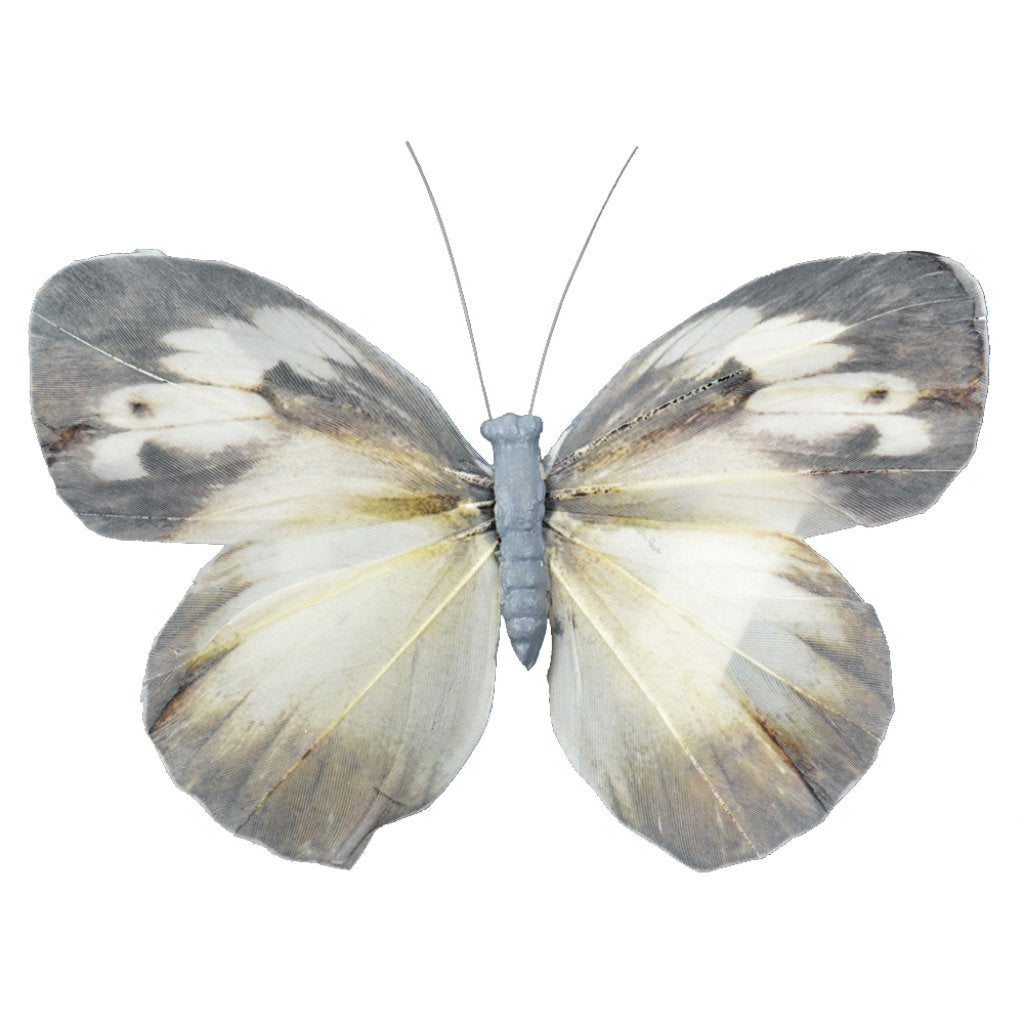 Natural Butterfly Grey And Cream 5in 1Pc 