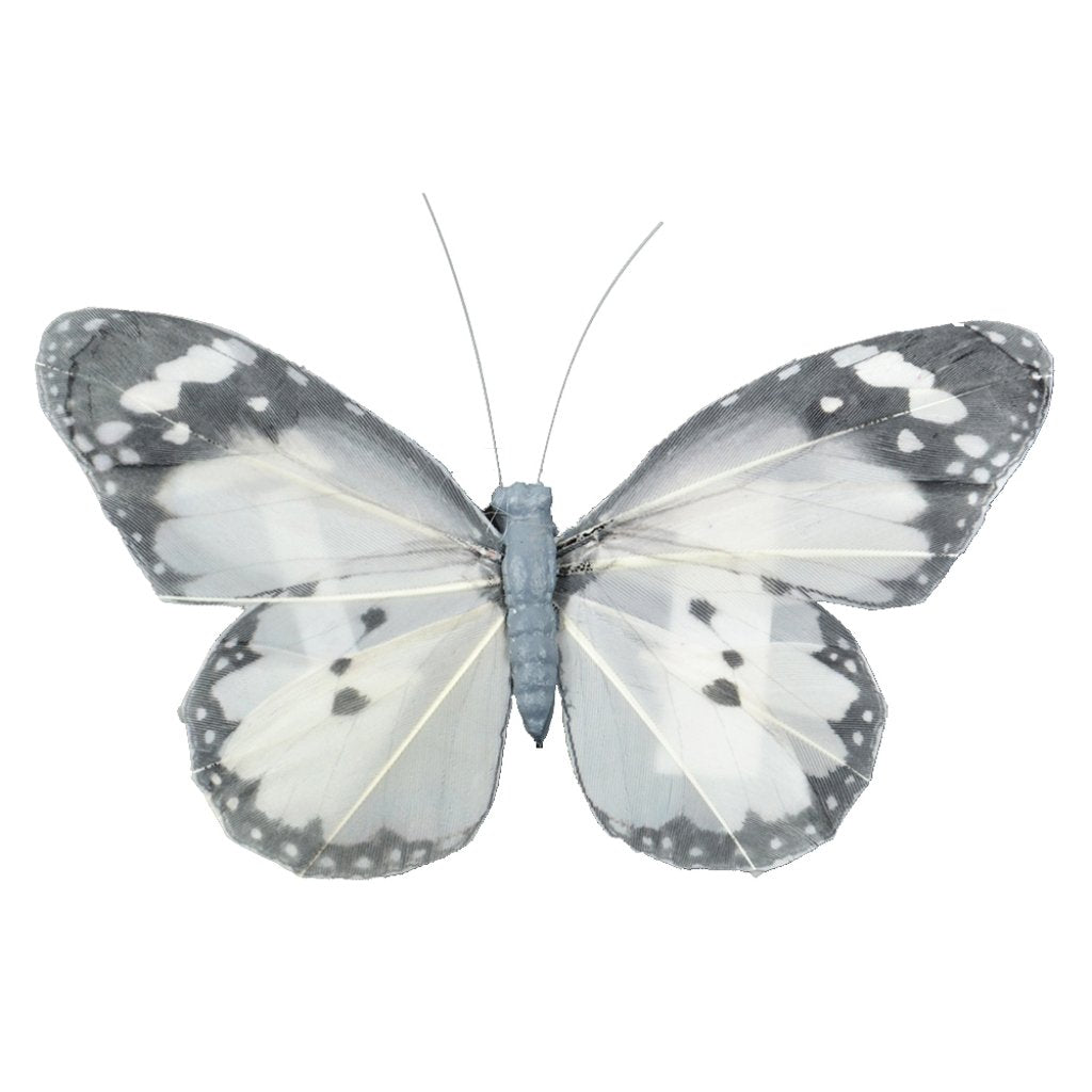 Natural Butterfly Grey And Cream 5in 1Pc 