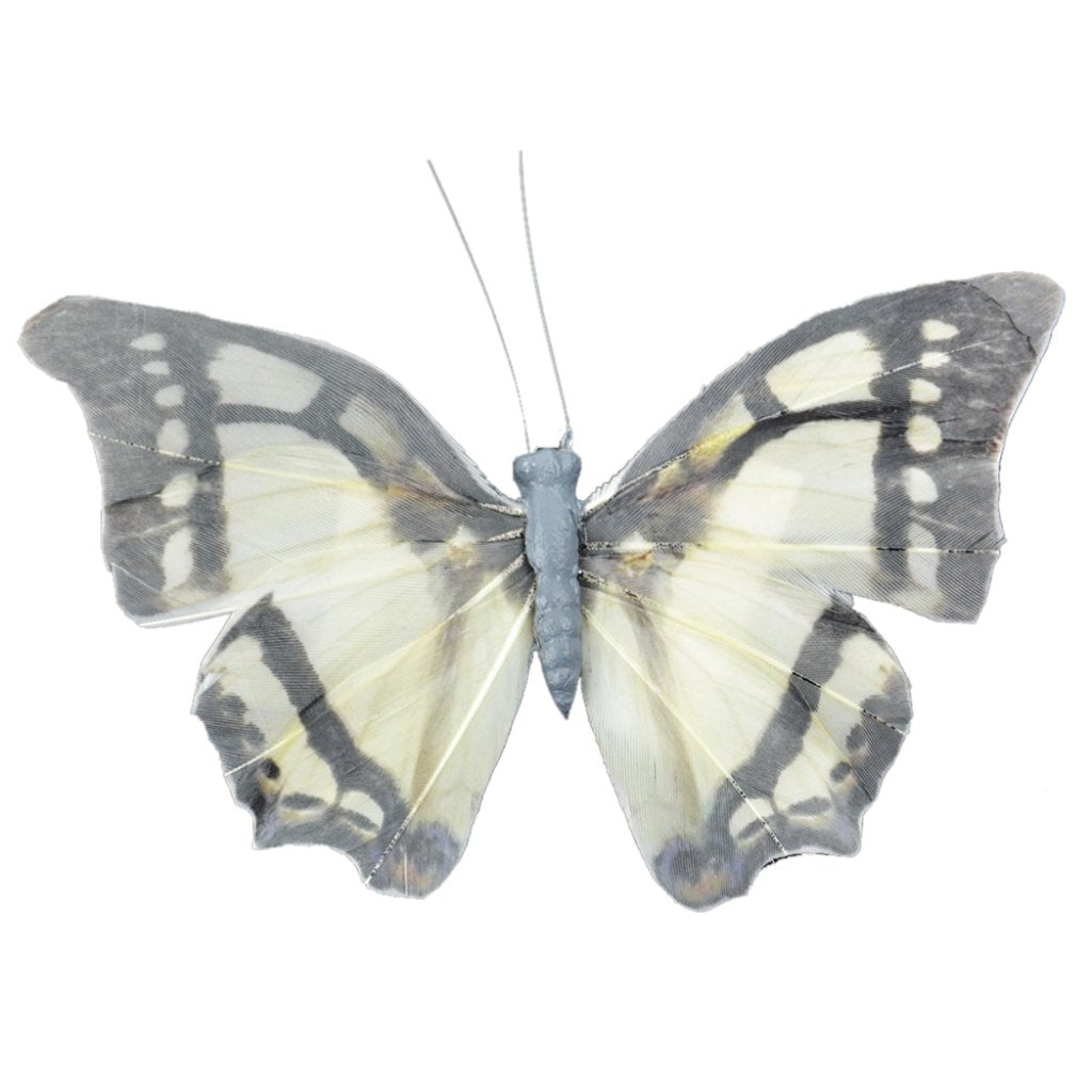 Natural Butterfly Grey And Cream 5in 1Pc 