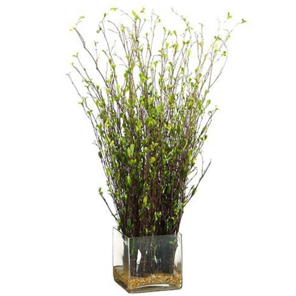 Bamboo Branch In Glass Vase 29in x 11in x 12in