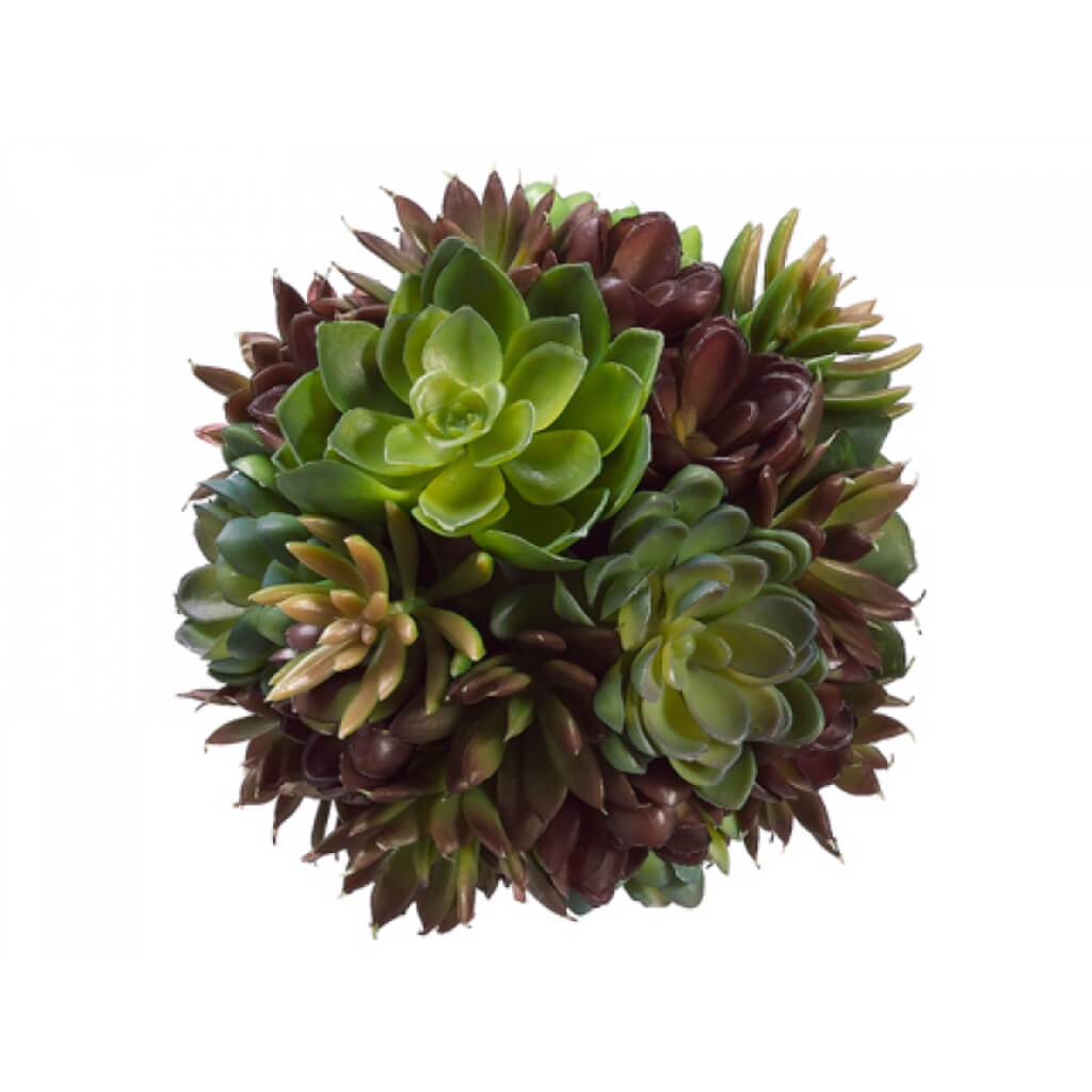 SUCCULENT BALL GR/BU 6in 