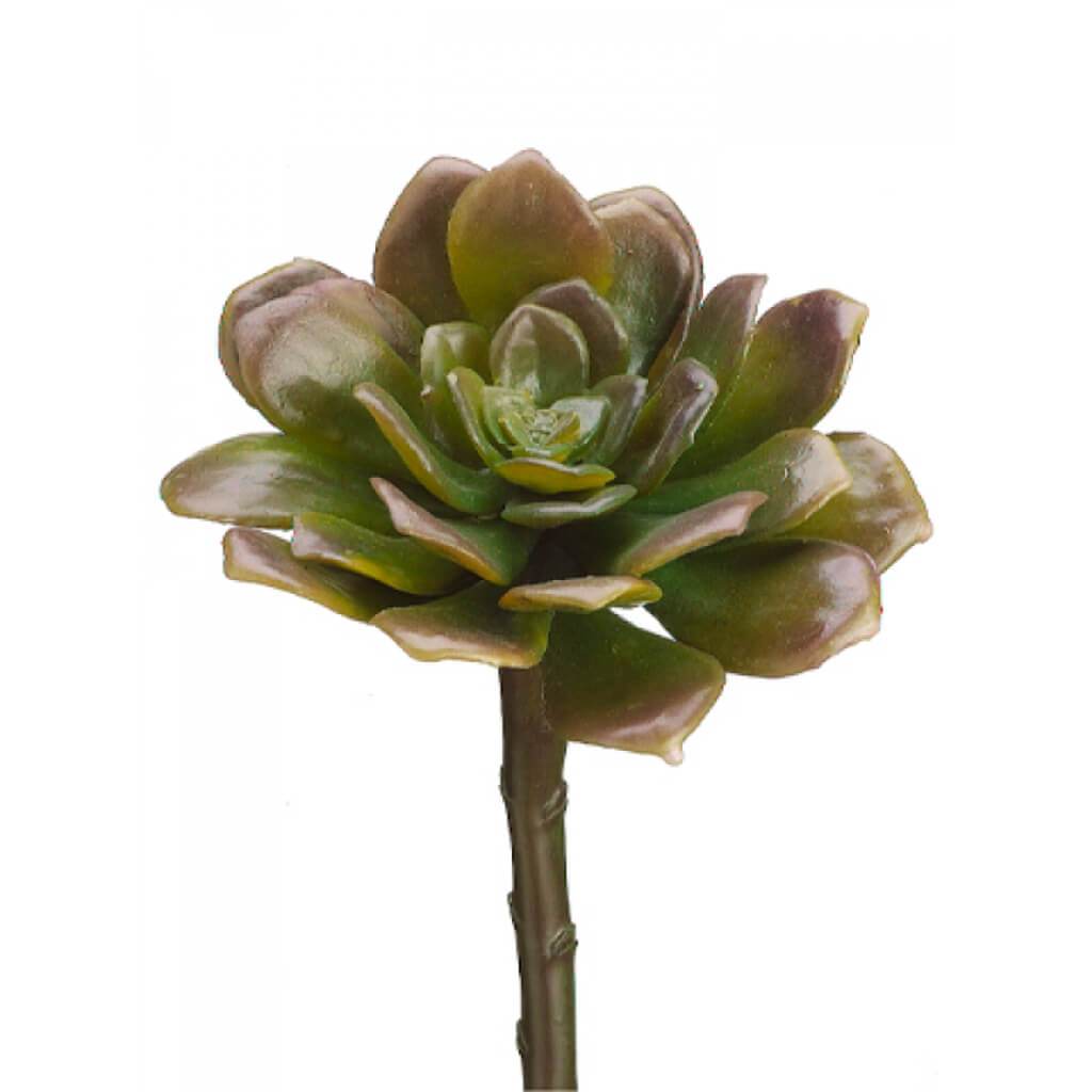 CHEVERIA PICK GR/MV 8"E 