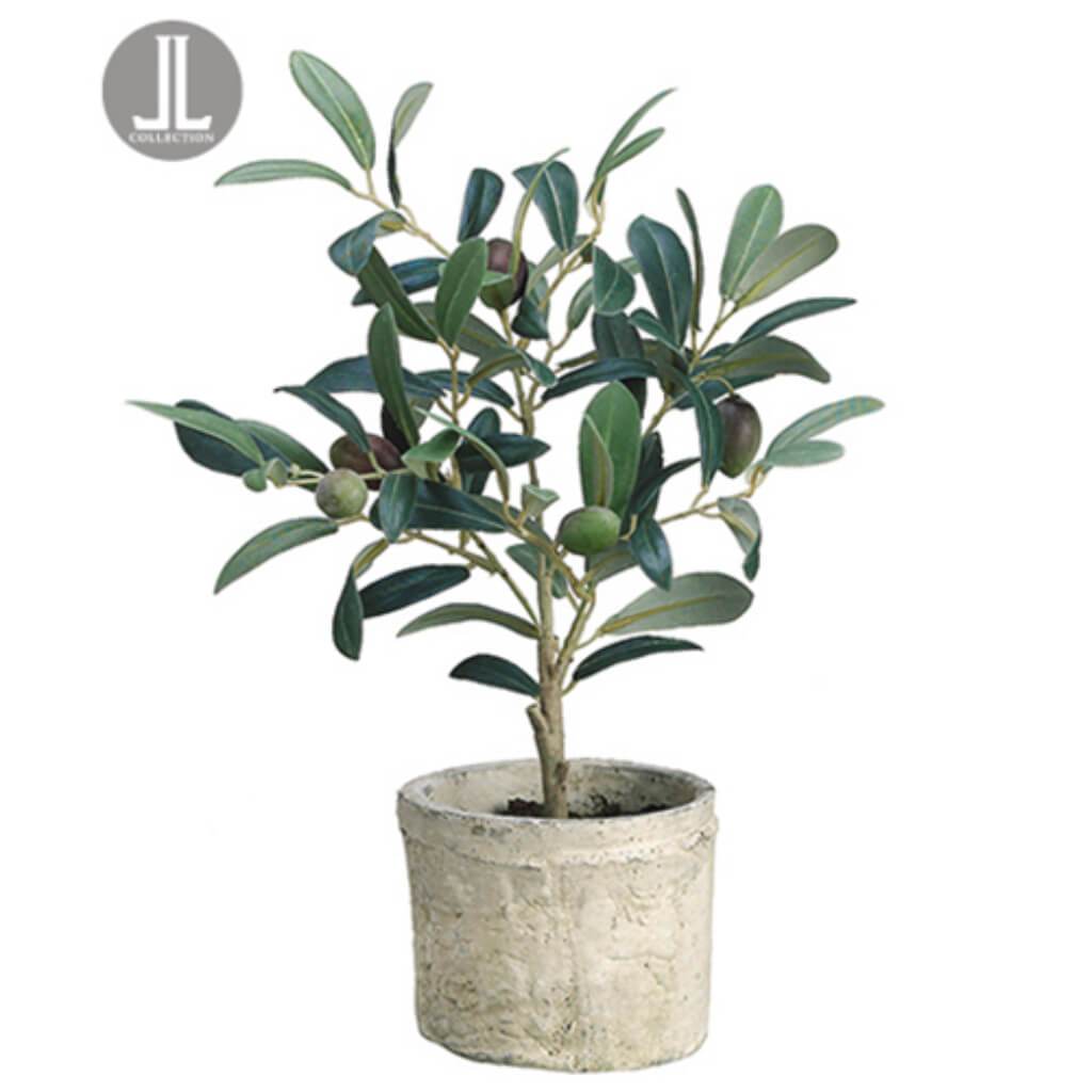 Olive Tree in Clay Pot 12&quot; Green Burgundy 