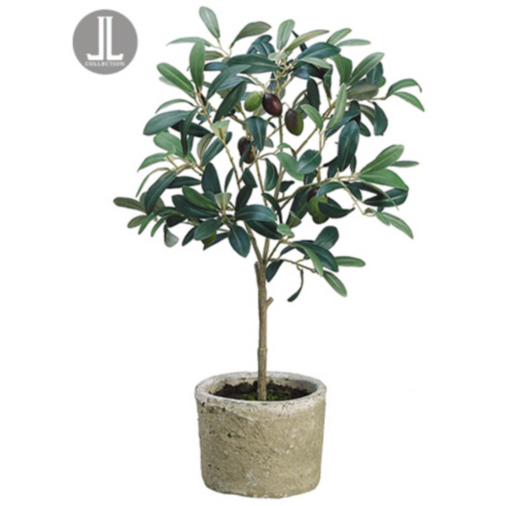 Olive Tree in Pot 19.5" Green Burgundy 