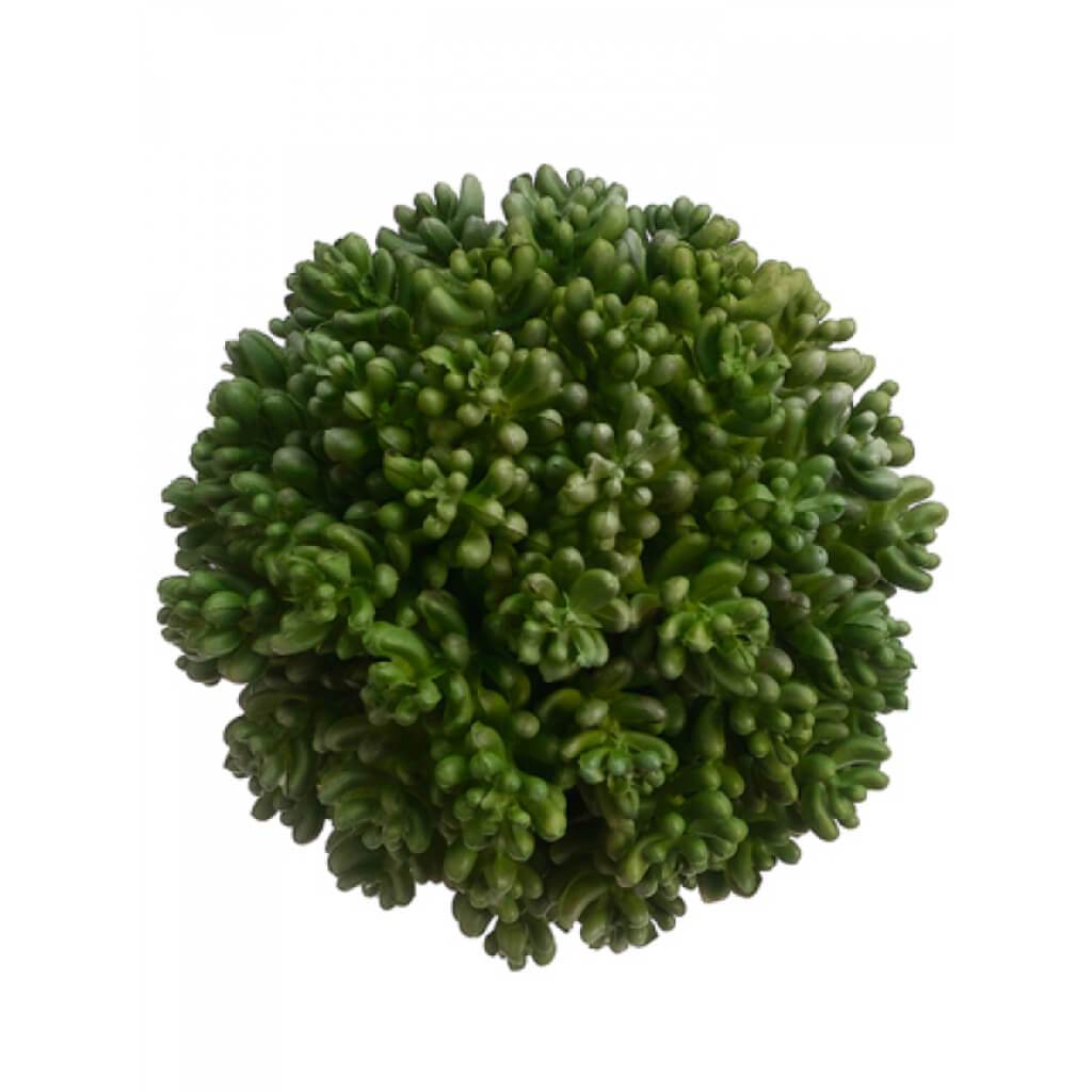 Succulent Orb 4.5in Green 