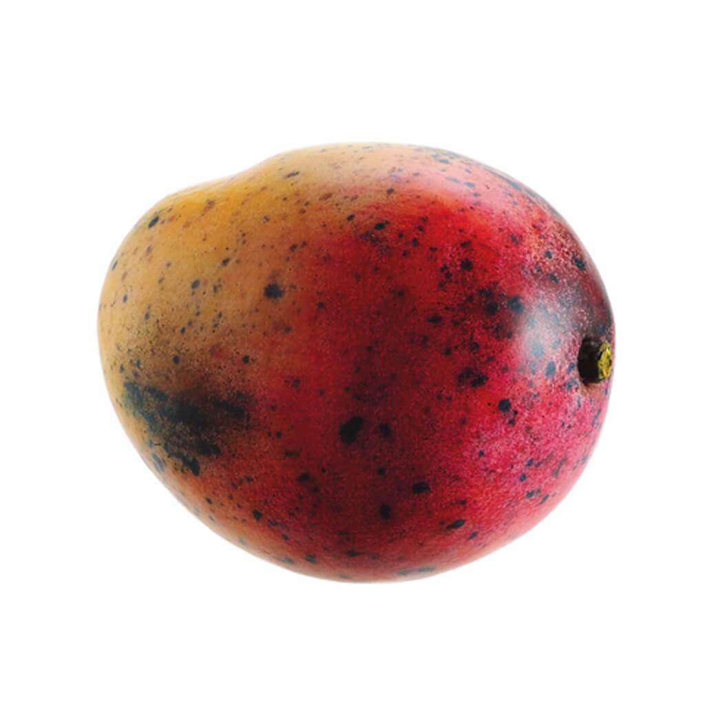 Weighted Mango 5&quot; Red Yellow 