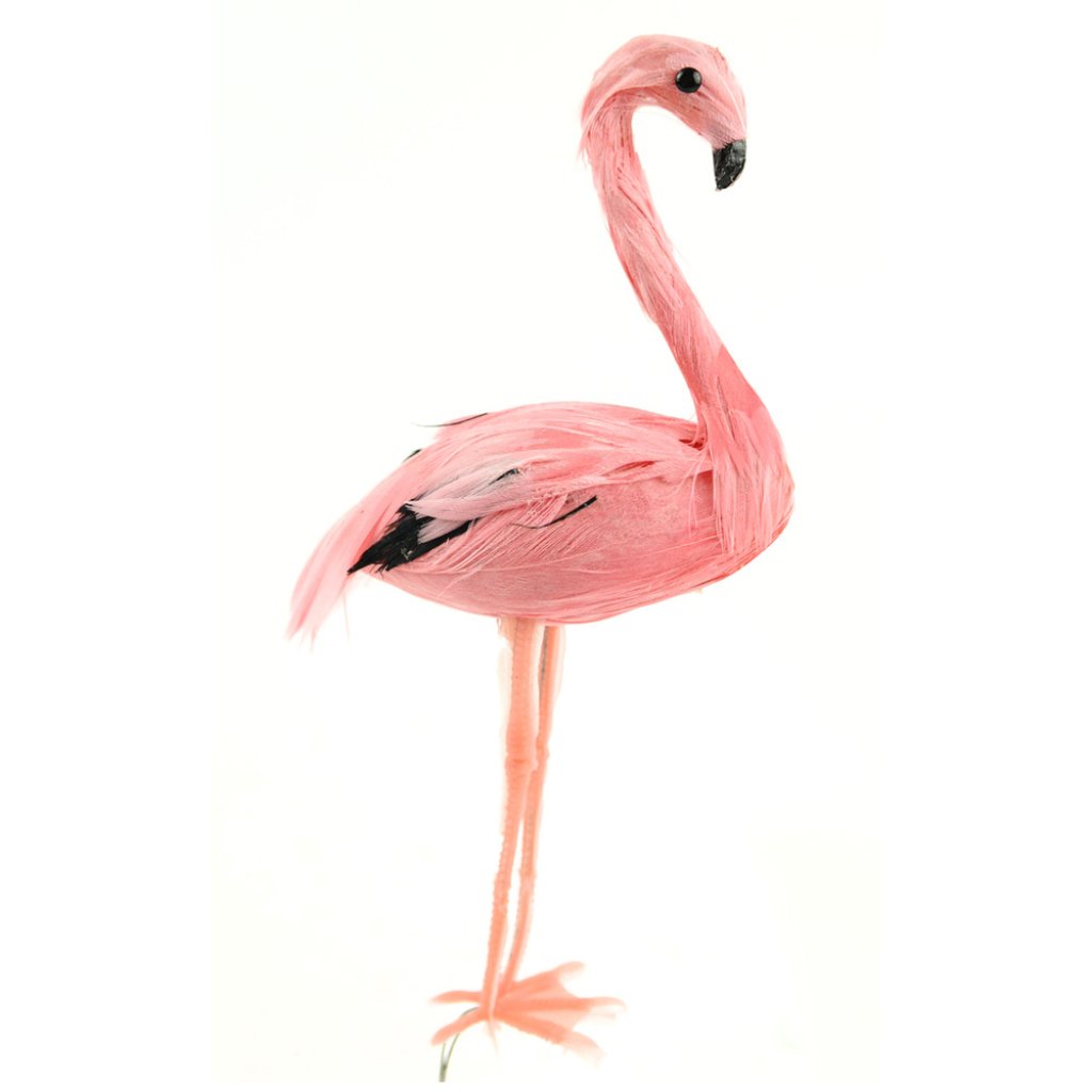 Flamingo Pink 6in 