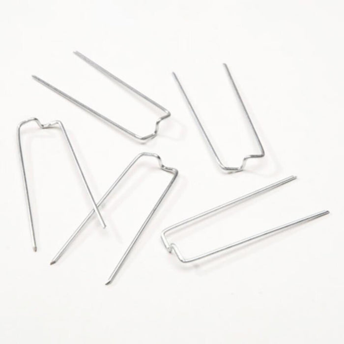 Fern Pins 1/2 pound 