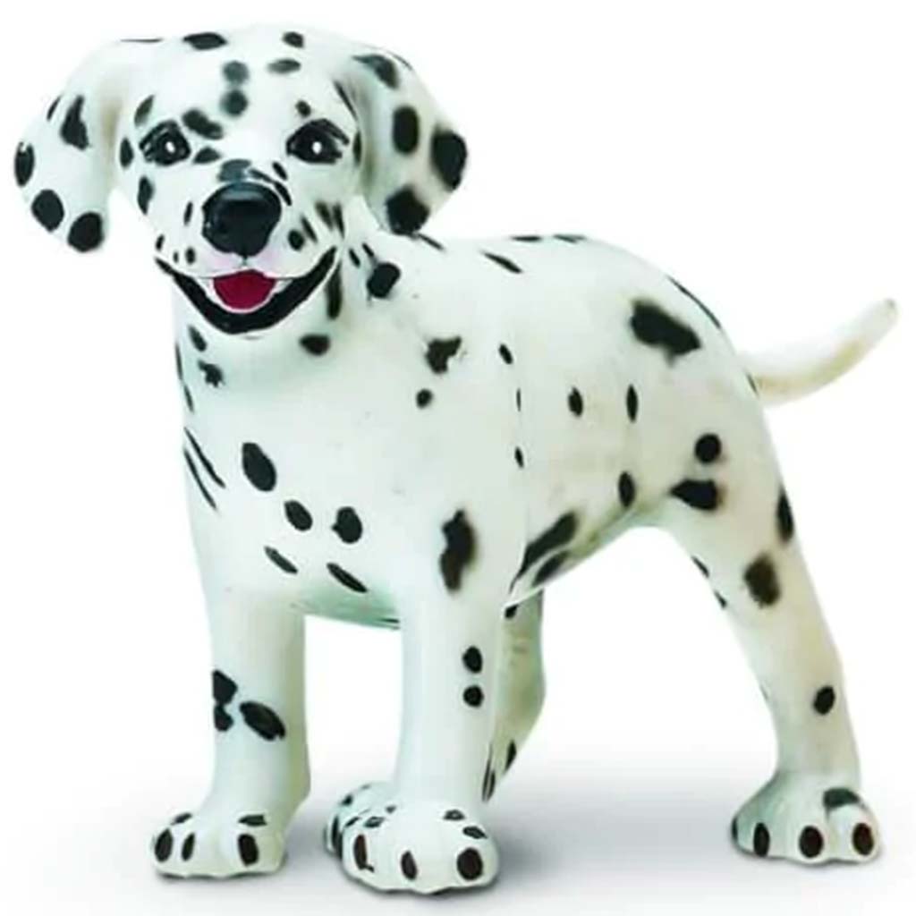 Dalmatian Puppy 