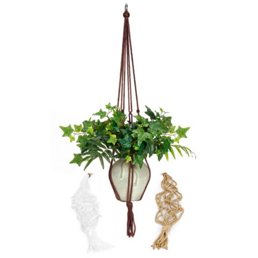 Plant Hanger - Cord - Assorted - 36 inches 