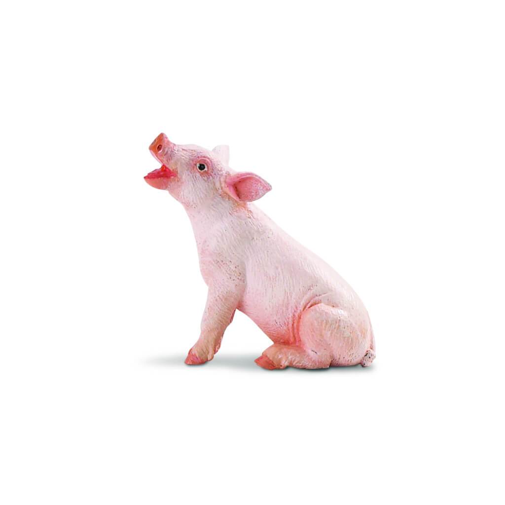 Sitting Piglet 