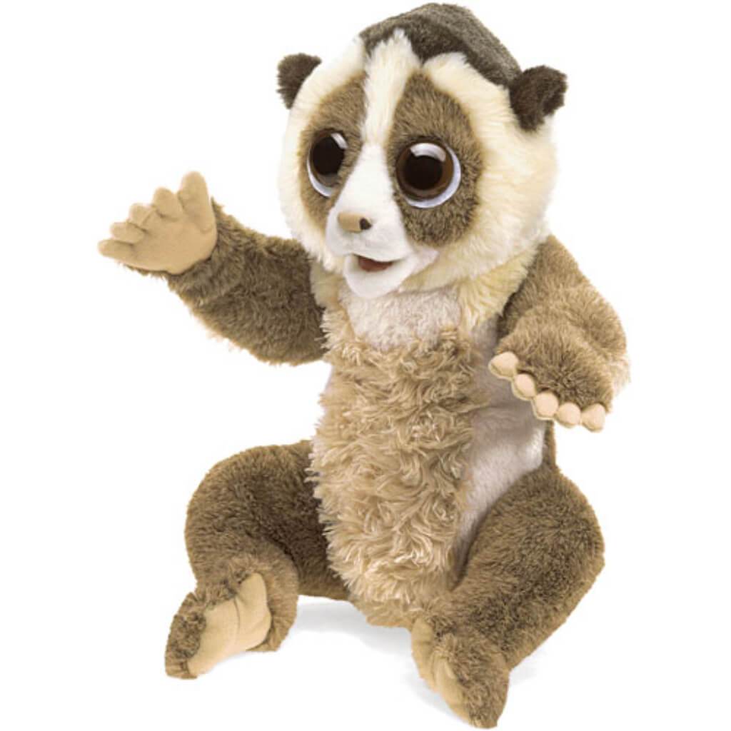 Slow Loris 