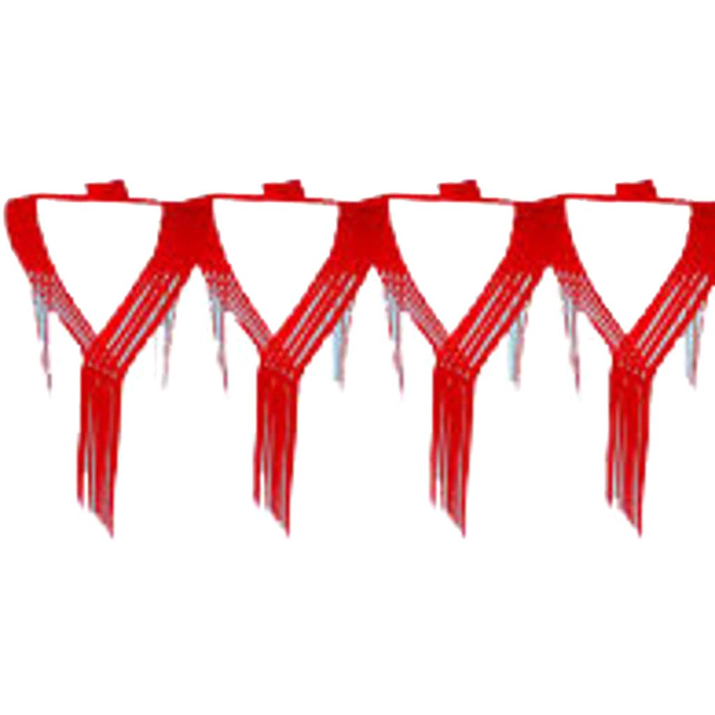 Red Drop Fringe Garland 20in X 12in