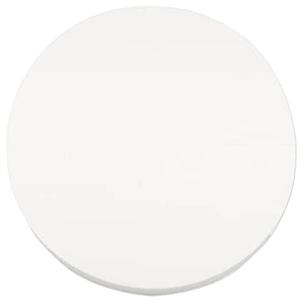 Styrofoam Disc 10x1in White