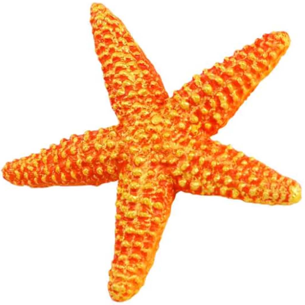 Orange Starfish 