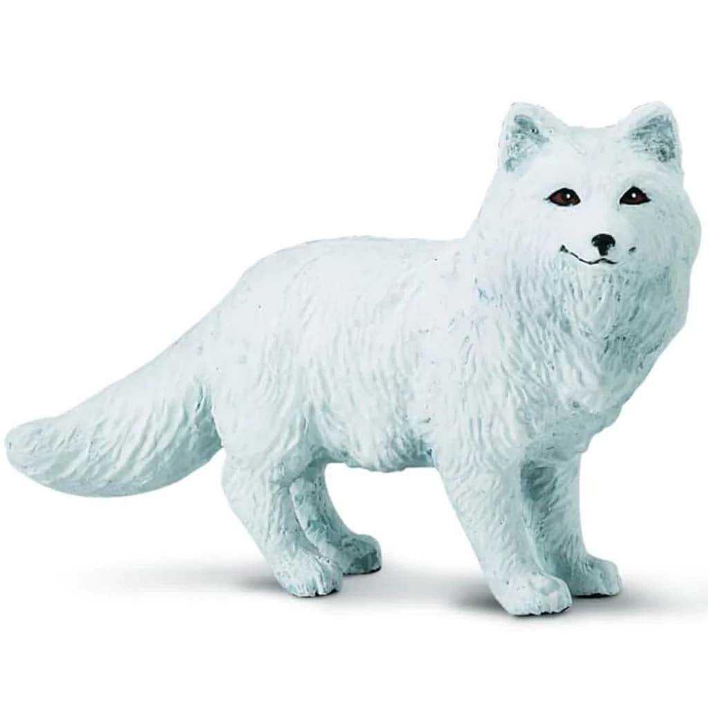 Arctic Fox 