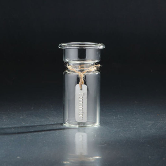 Candleholder H:5.5" D:3.5" Clear 