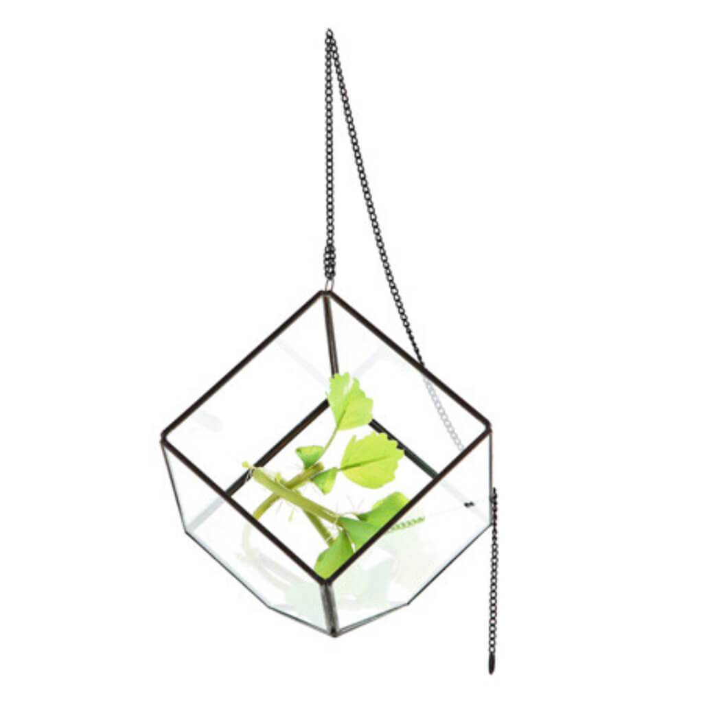 Glass Accessory L:6"W:6"H:6" Clear 