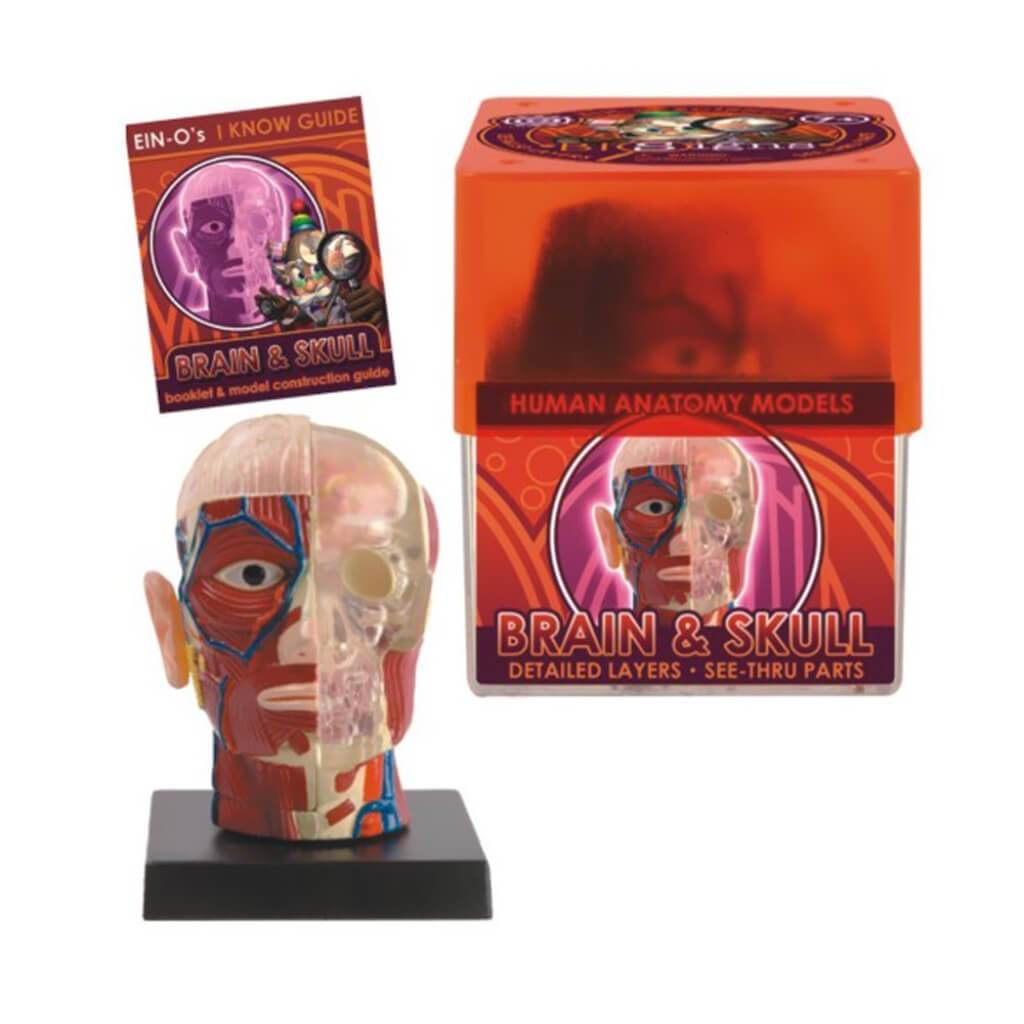 Bio Signs Brain &amp; Skull 