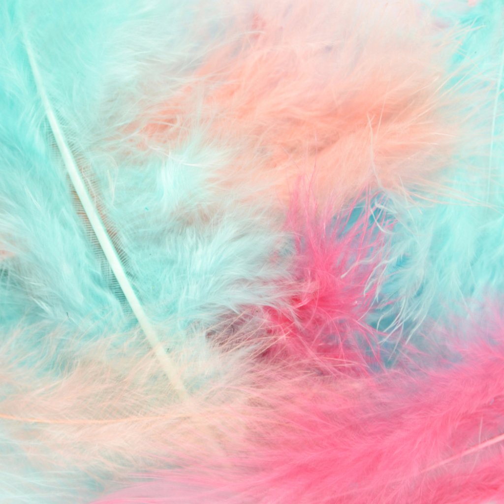 Turkey Feathers Fluffy Pastel Colors 7Gm 