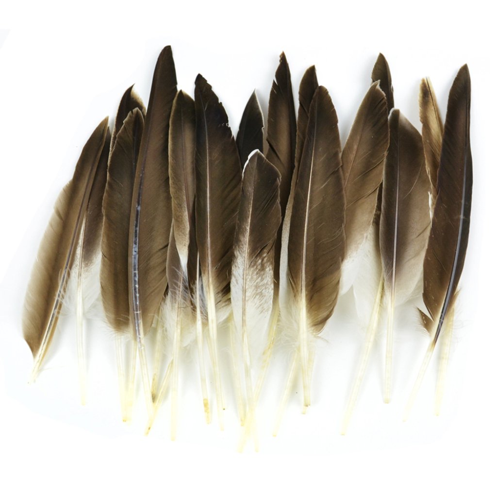 Duck Wing Quills 8in Gray 