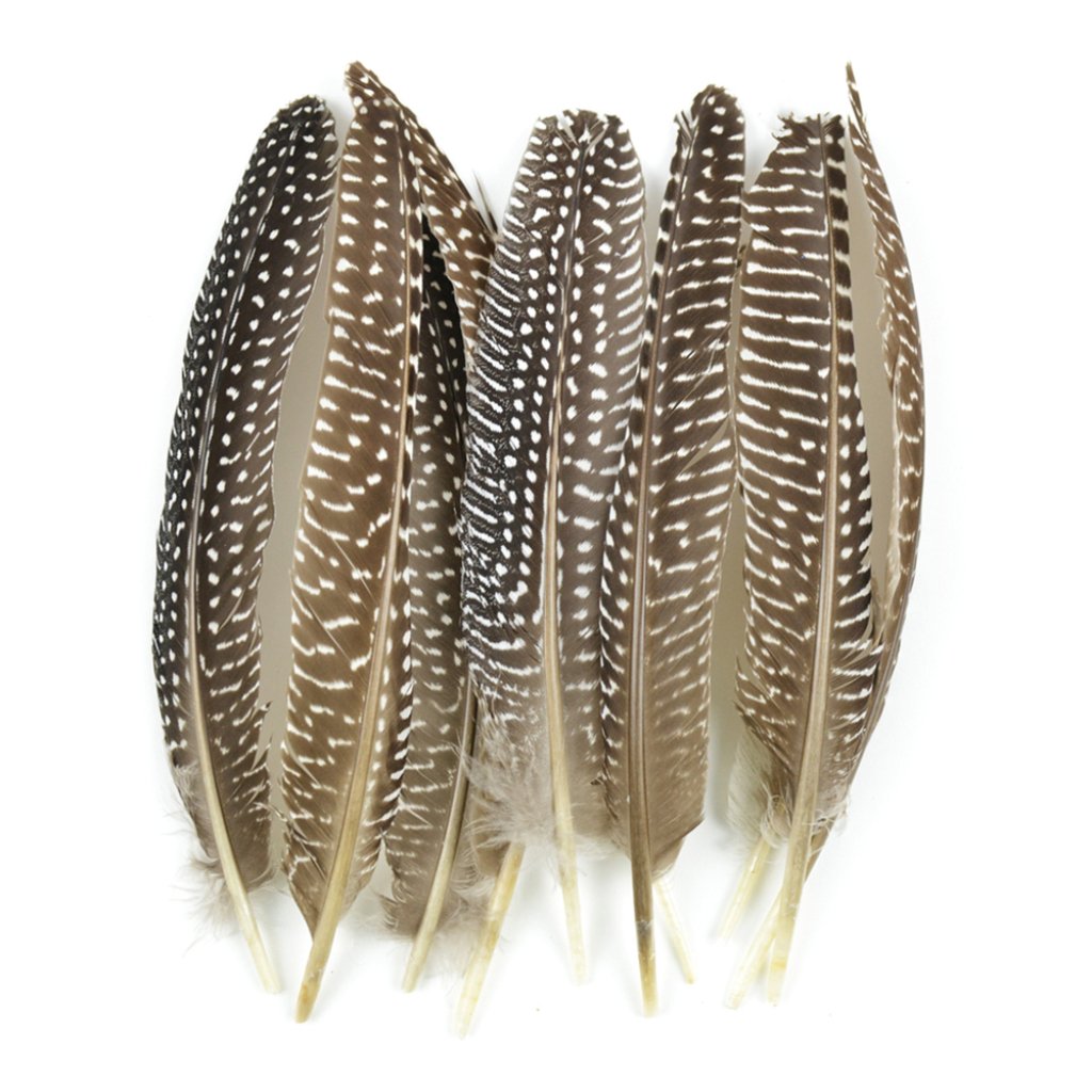 Guinea Fowl Wing Quills 