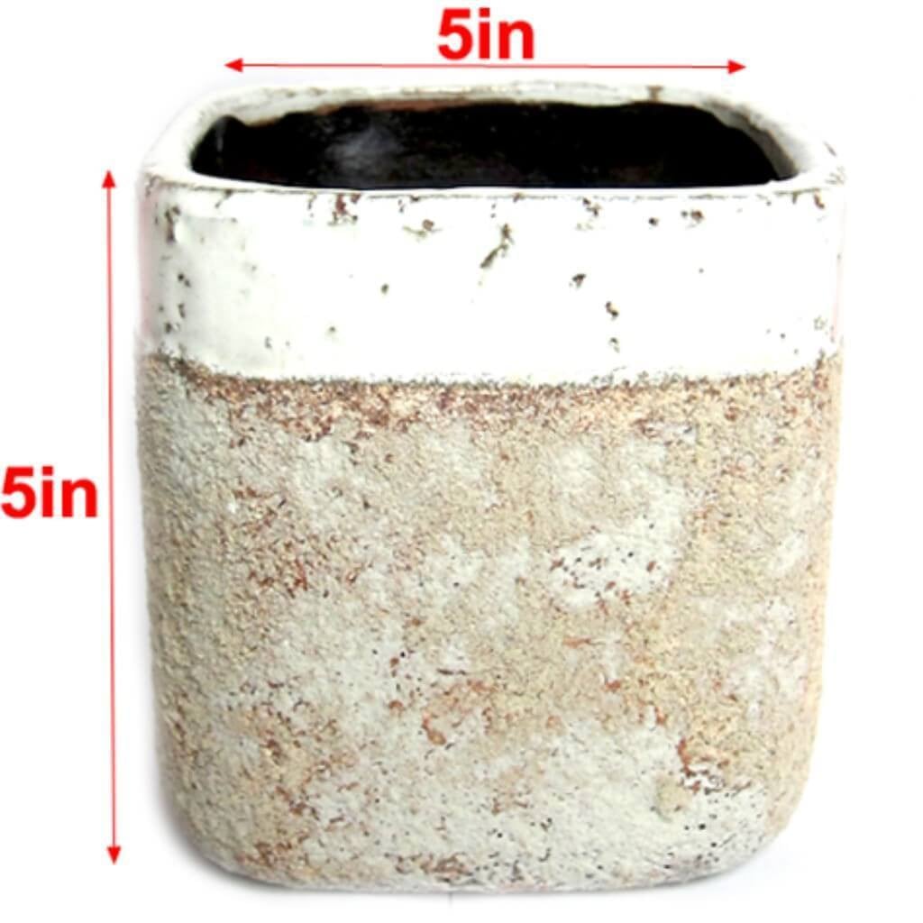 5Hx5In Square Stone White Banded 