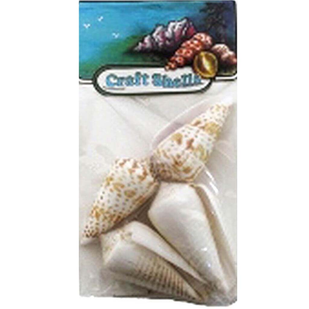 Assorted Cones Seashells - Craft Pack