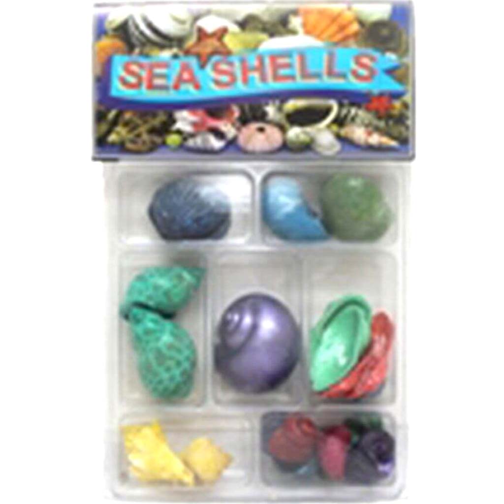 Dyed Collection Seashells