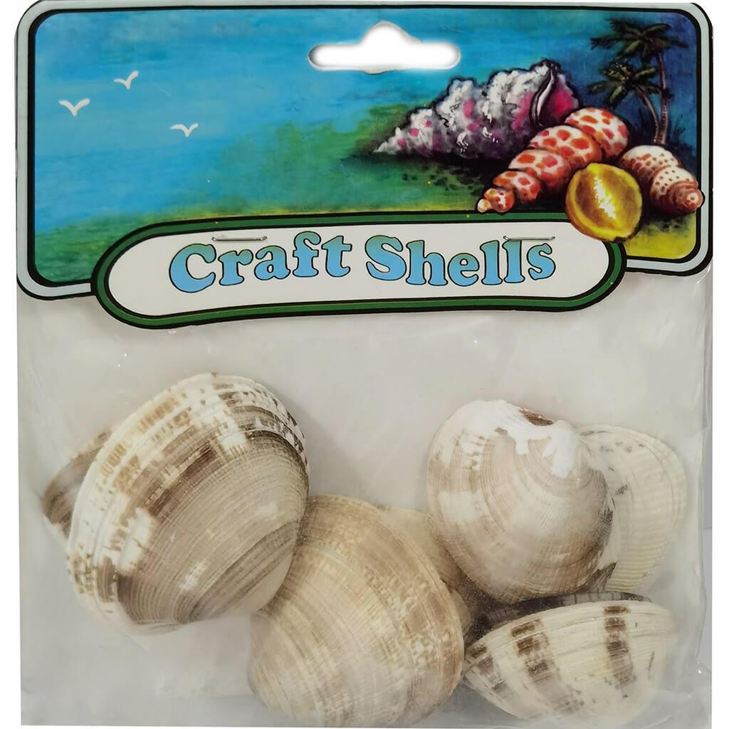 Zig Zag Mix Mexico 12