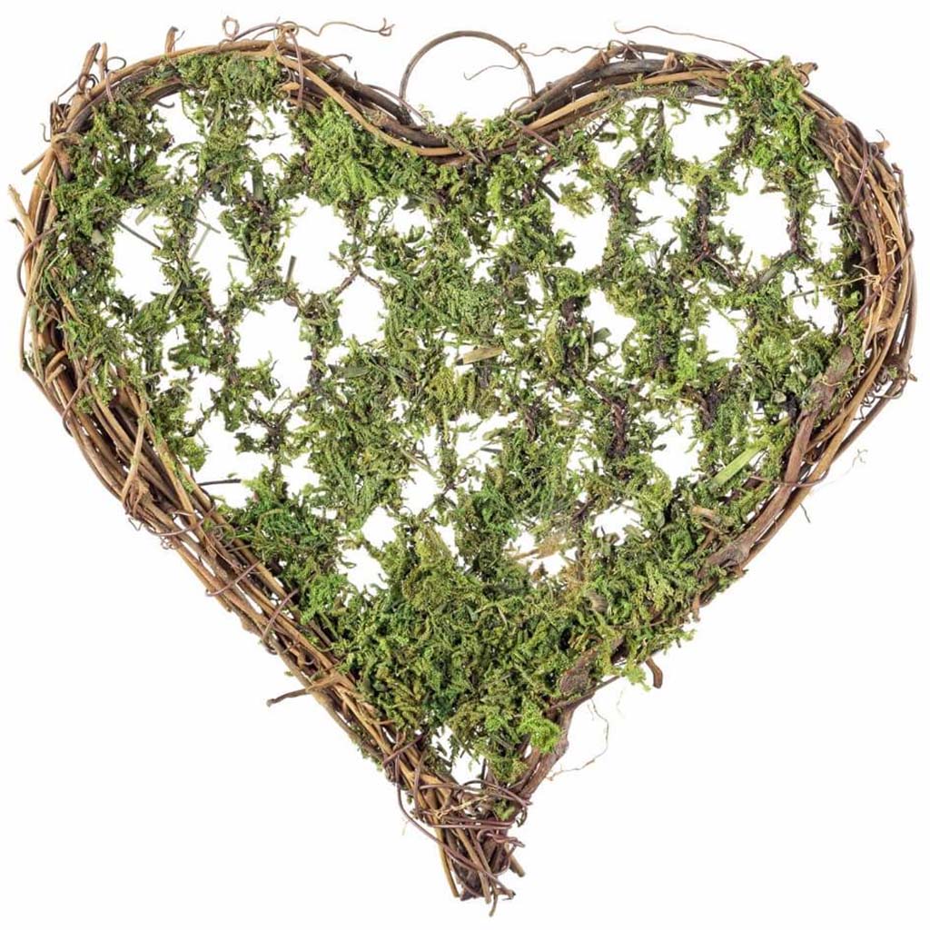 GRAPEVINE WIRE MOSS HEART 6IN 