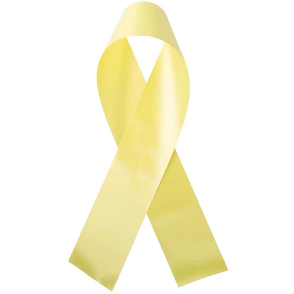 PROPOLY RIBBON YELLOW 50YD 2-3/4IN 