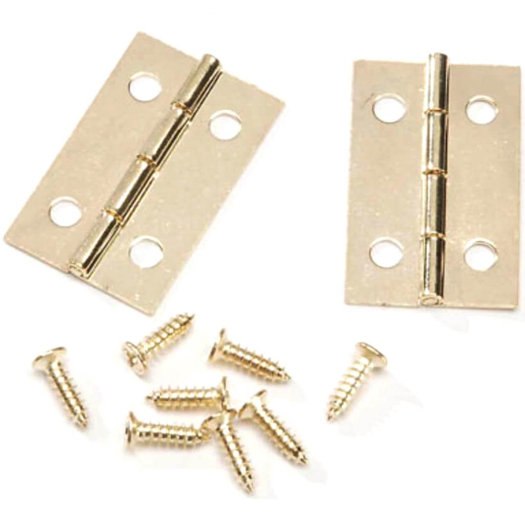 Iron Hinges with Brass Plated Screws 