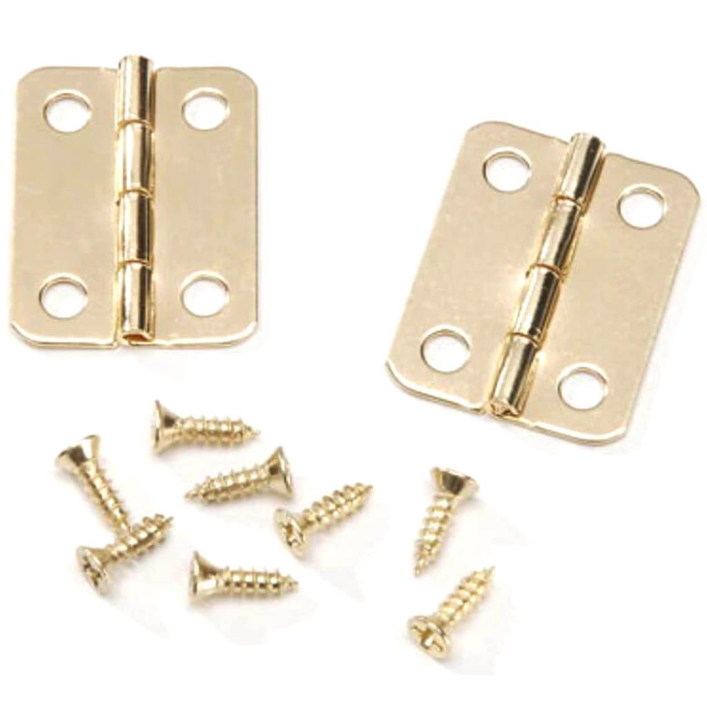 Brass Hinges 1 Inch 