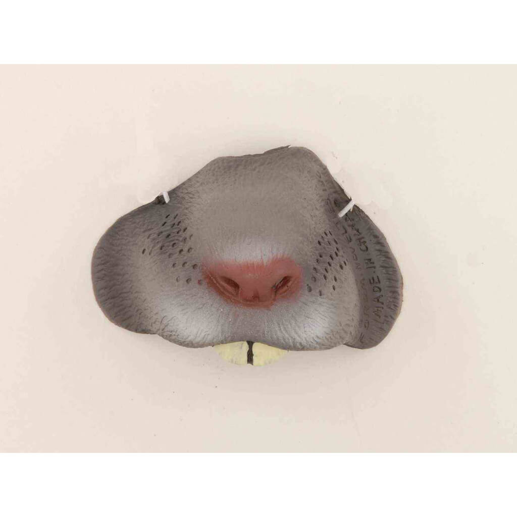 Mouse Nose 