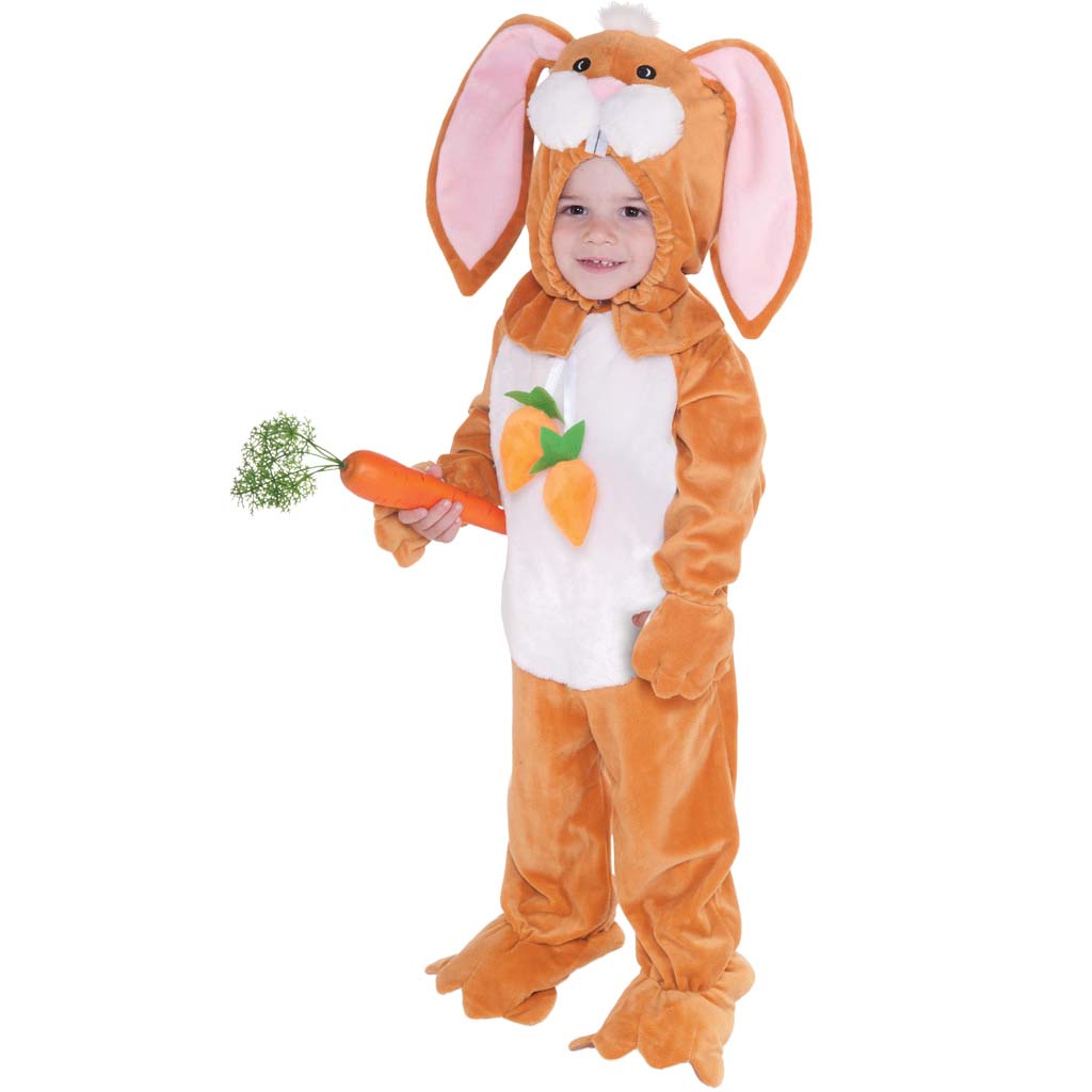 Rabbit Costume 2-4 X-Small