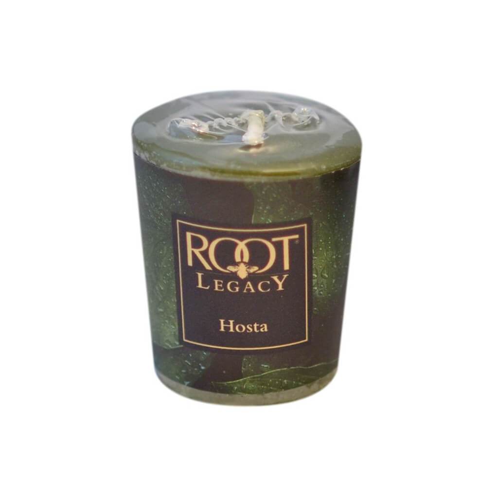 Votive Candle Hosta 