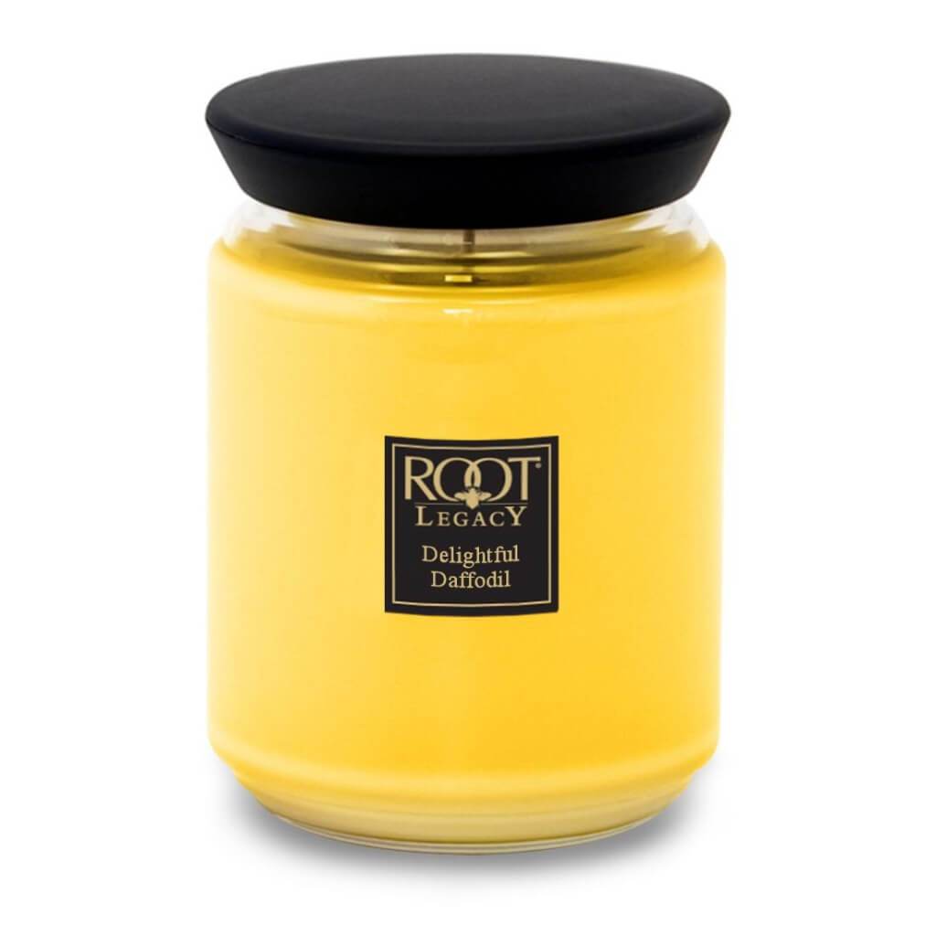 Queen Bee Jar Candle Large Delightful Daffodil 